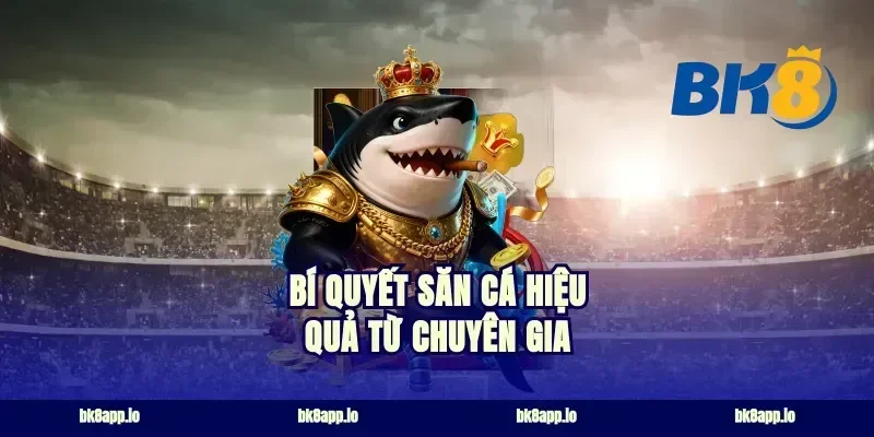 Bí Quyết Săn Cá Hiệu Quả Từ Chuyên Gia